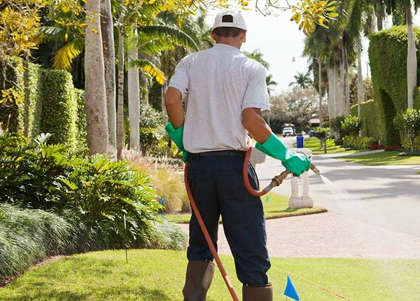 About Hulbert MI Pest Control